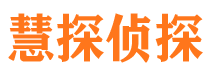 南岳侦探公司